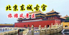 大鸡巴插菊花中国北京-东城古宫旅游风景区